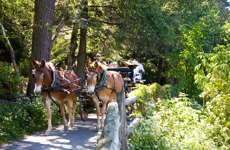 Wagon ride at Mohonk Mountain House.