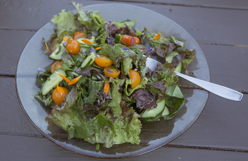 Salad at Pebble Cove Farm.