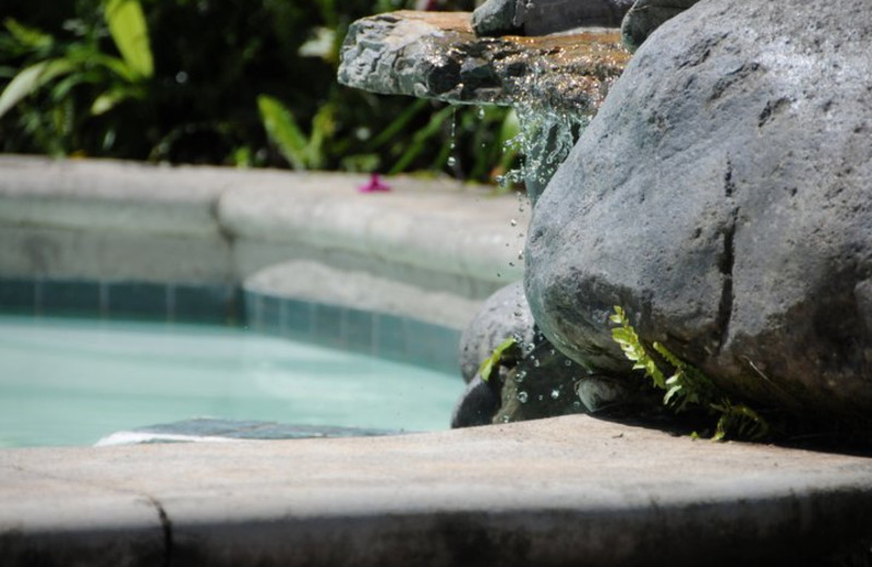 Outdoor pool at Hacienda Primavera Wilderness Ecolodge.