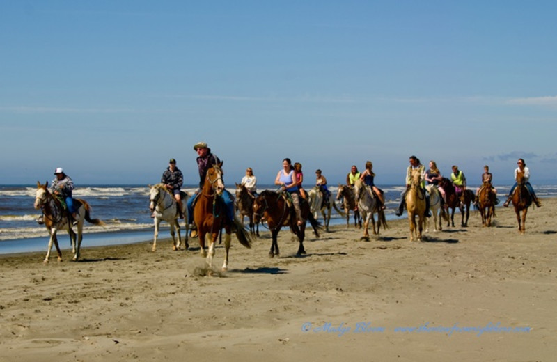 Horseback riding on the beach near Grays Harbor Inn & Suites.