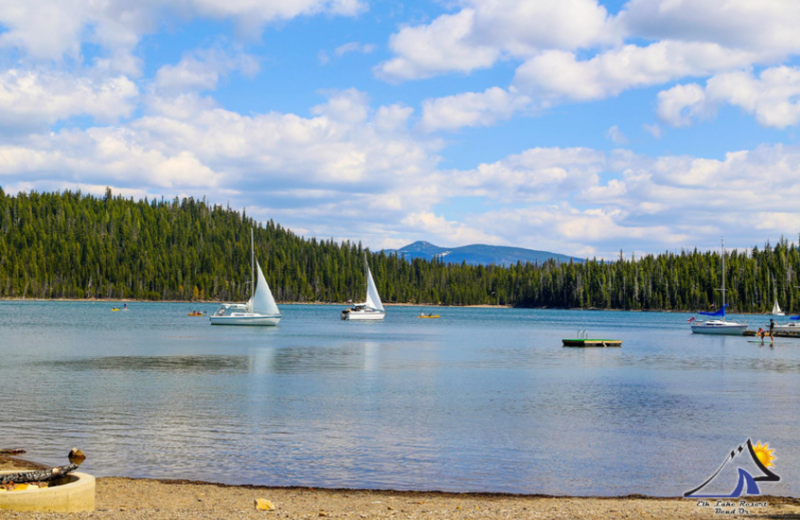 Lake view at Elk Lake Resort.