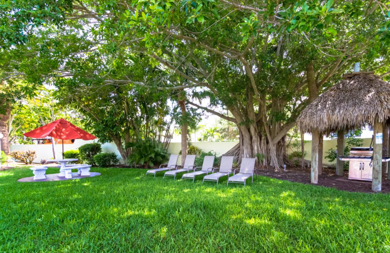 Grounds at Tropical Shores Beach Resort.