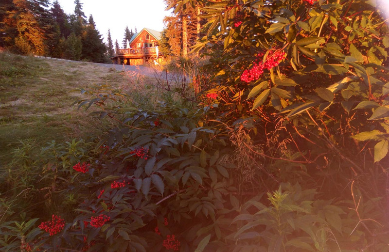 Exterior at Hungry Moose Bed and Breakfast.