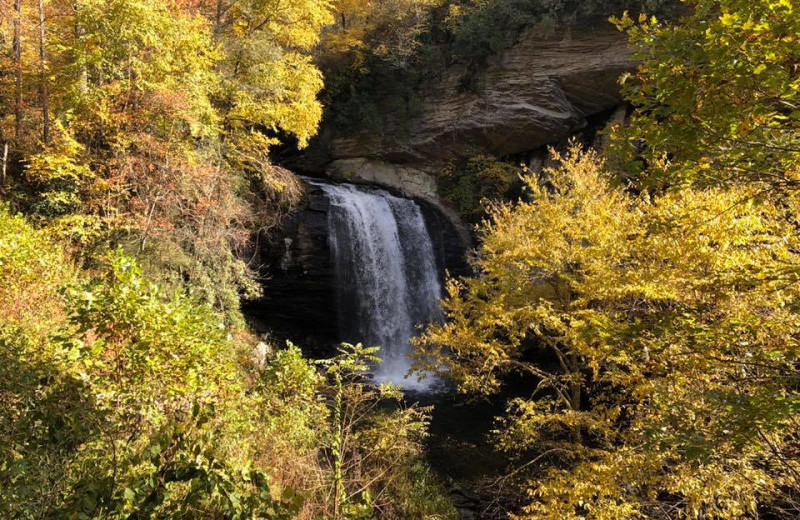 Waterfall near Asheville Mountain House.