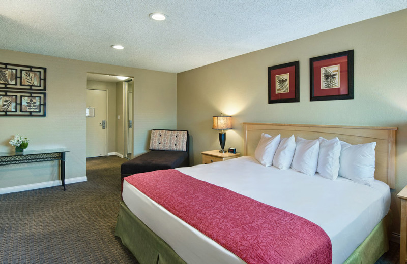 Guest room at Oxford Suites Lancaster.