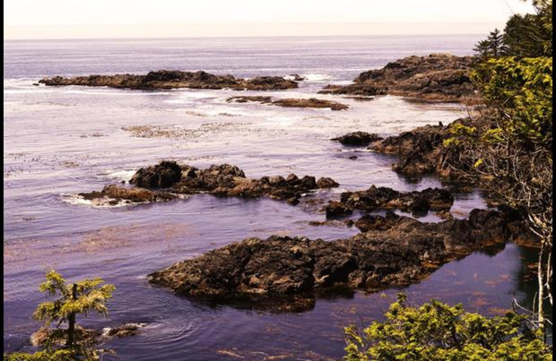 Beautiful shorelines on Wild Pacific Trail just a few minutes from Sutton Cottage.