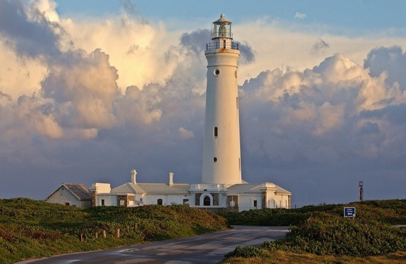 Lighthouse near Cape St. Francis Resort.