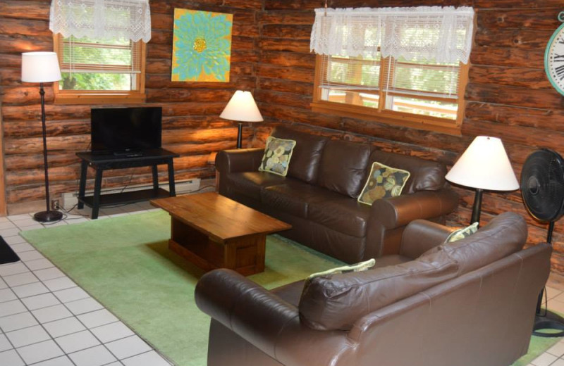 Rental living room at Stay Waterfront - Cheat River Lodge & Cabins.