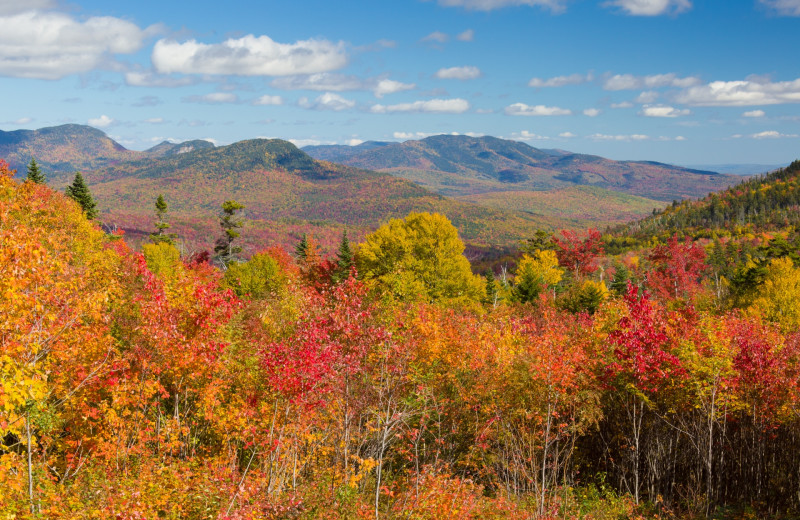 Fall colors at Made INN Vermont B&B.
