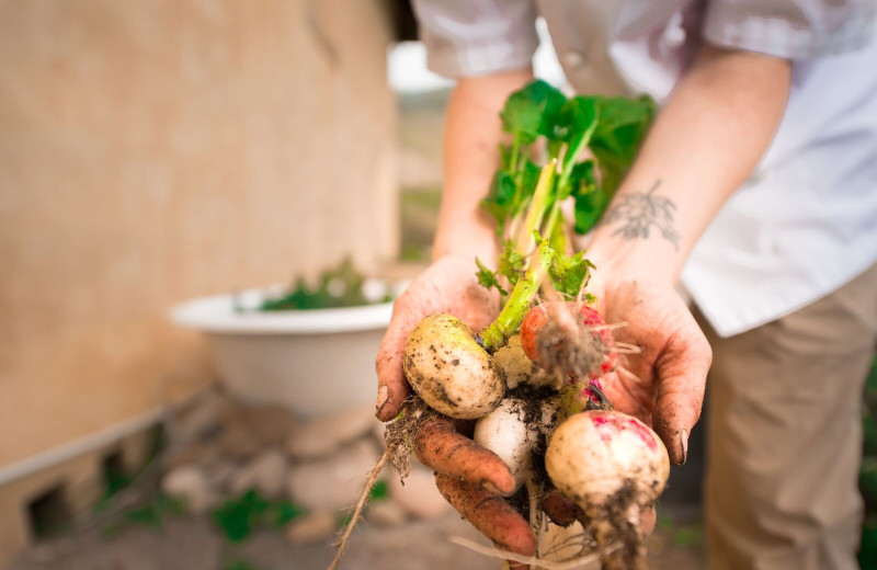 Fresh produce at 4UR Ranch.