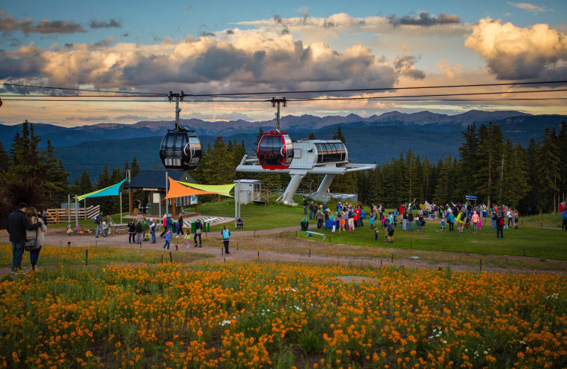 Festival near Aspen Square Condominium Hotel.