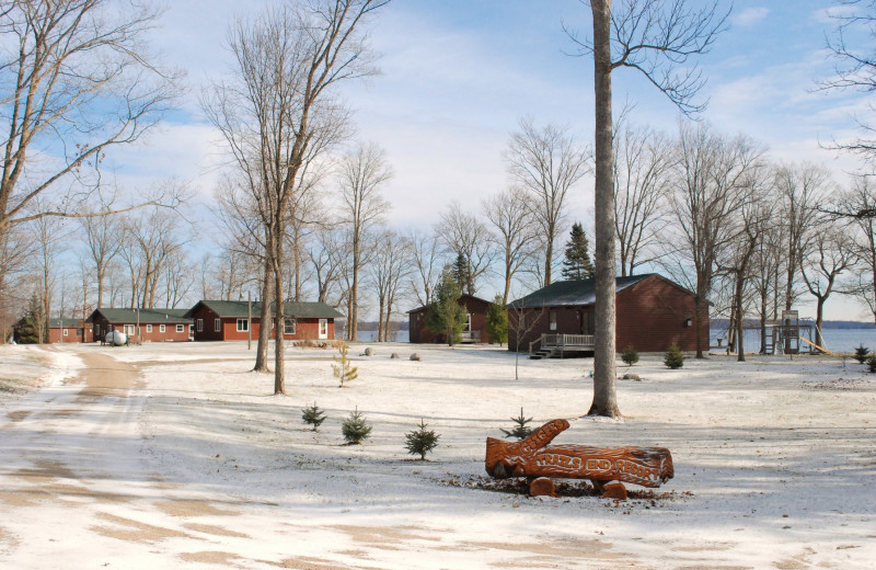 Winter at Geiger's Trails End.