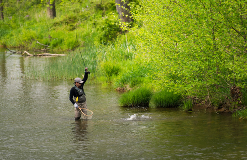 Fly fishing at The Private Collection.