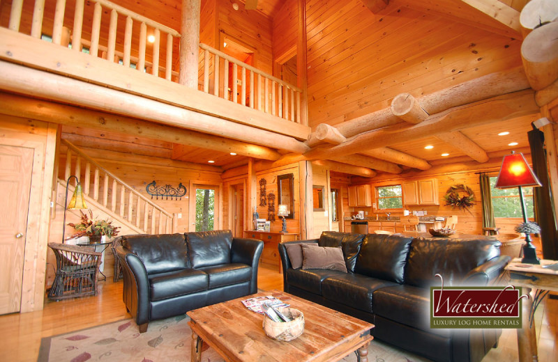 Cabin living room at Watershed Cabins.