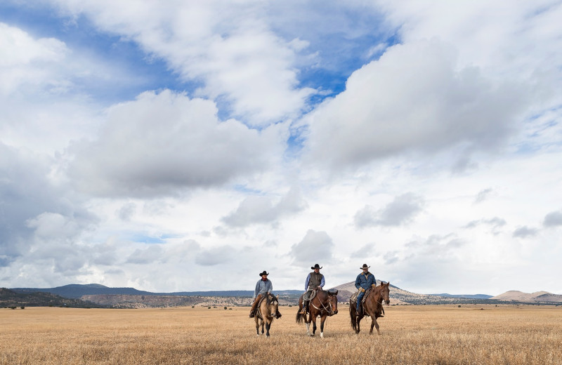 Horseback riding at X Diamond Ranch.