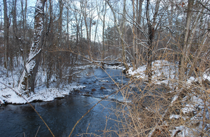 Stream at Big Pine Trout Farm.