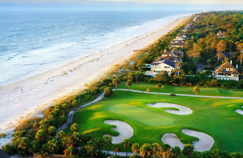 Golf at Palmetto Dunes Oceanfront Resort.