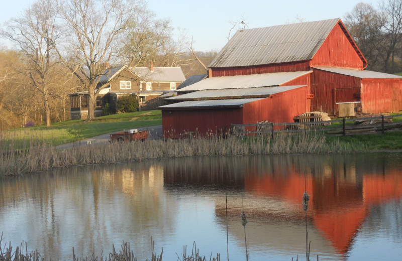 Scenic view at Creekside Resort.