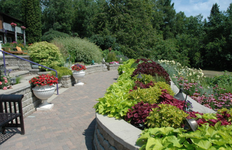 Garden at Winfield Inn 