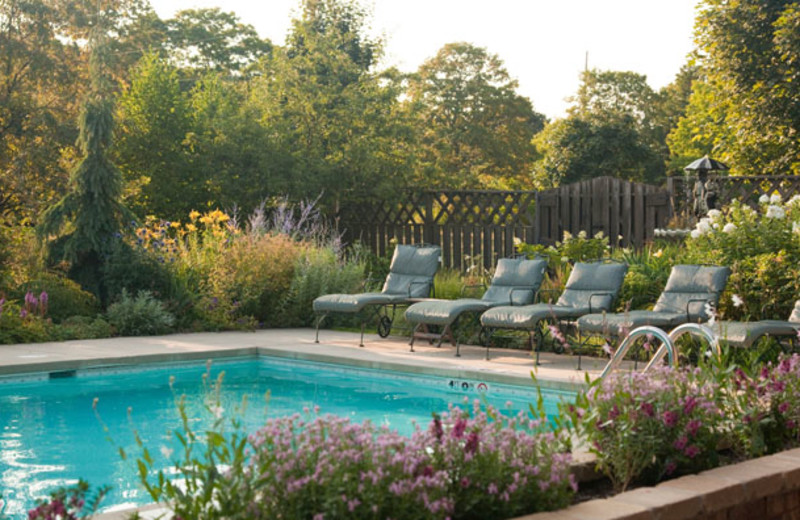 Outdoor pool at Chanticleer Guest House.