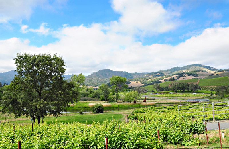 Exterior view of Deerfield Ranch.