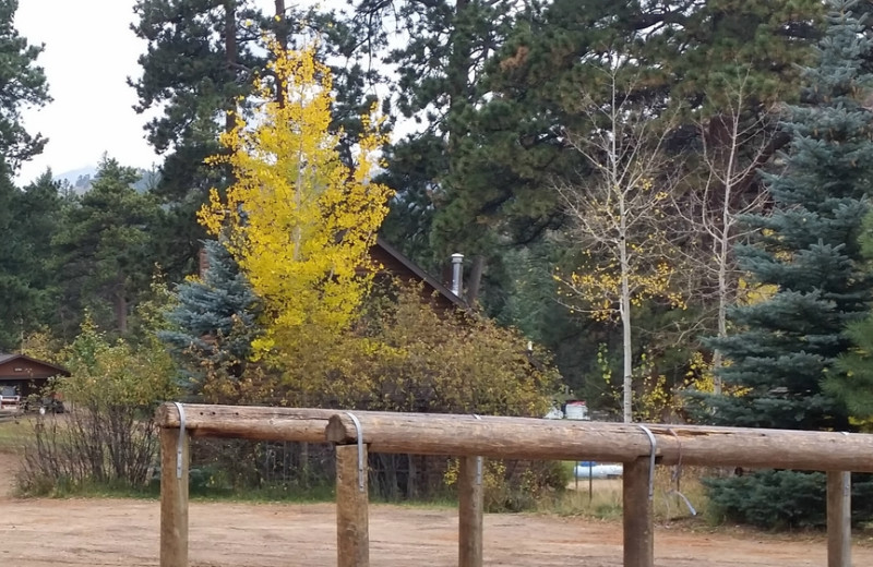 Grounds at Glacier Lodge.