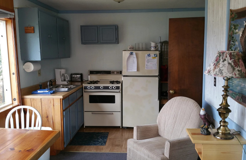 Cabin kitchen at Pine Beach Resort-Side Lake.