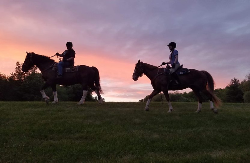 Trail Ride at Pine Ridge Dude Ranch