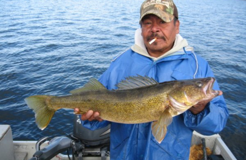 Walleye fishing at Sandy Beach Lodge.