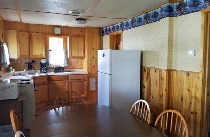 Cabin kitchen at Vacationer's Inn Resort.