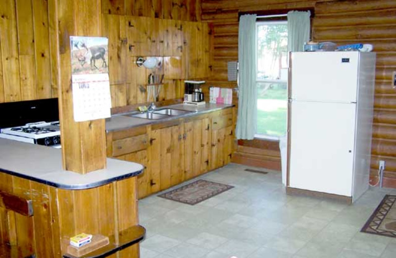 Cabin kitchen at Wilsons On Moosehead Lake.