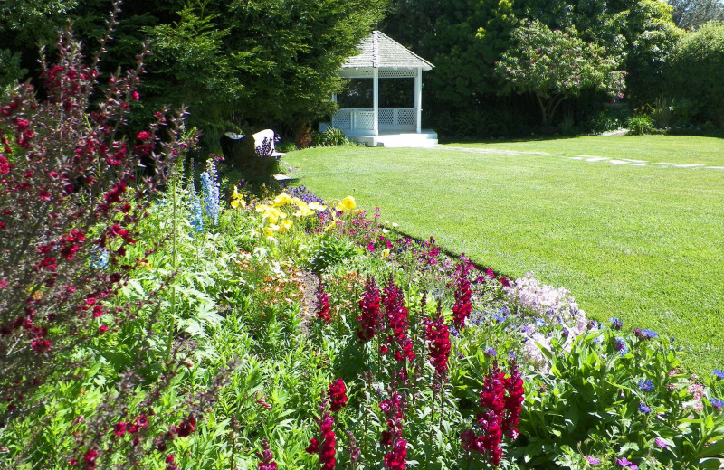 Garden gazebo at Cambria Pines Lodge.