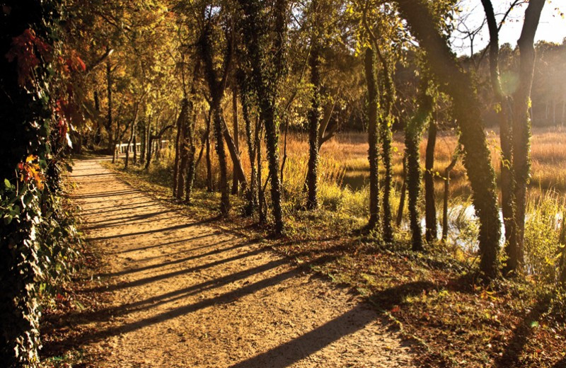 Trail at Smithfield Station.