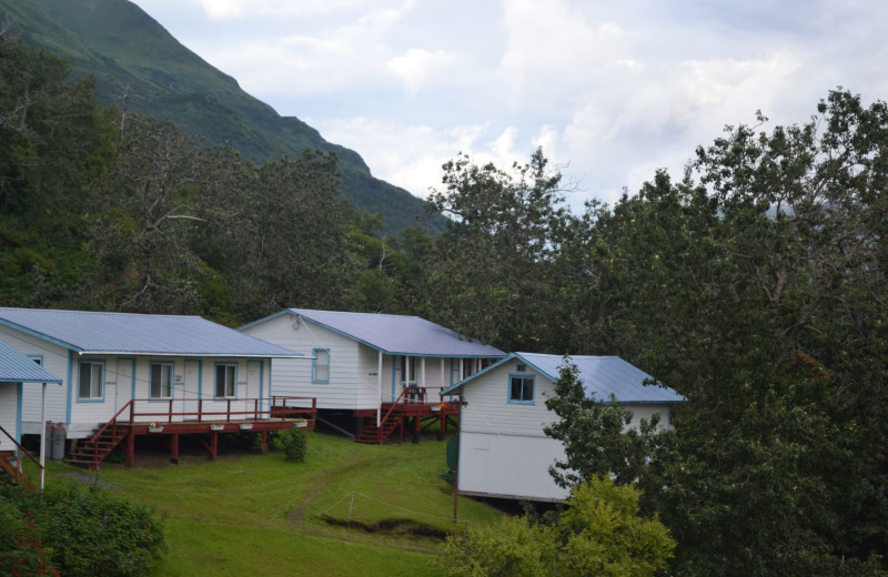 Cabins at Zachar Bay Lodge.