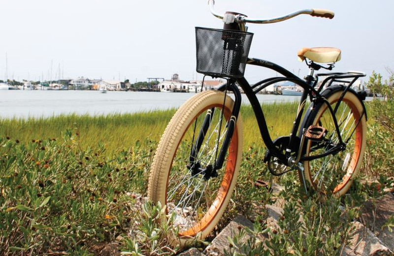 Biking at Islander Hotel & Resort.