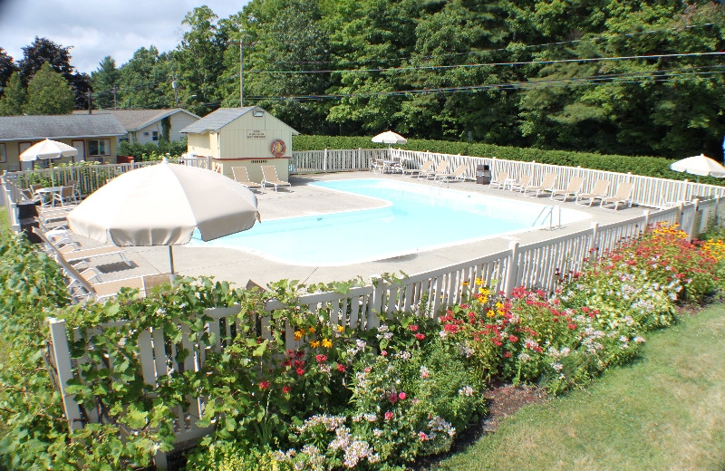 Pool area at Capri Village Resort.