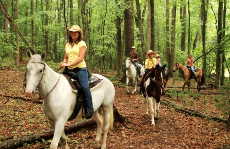 Horseback Riding at The Resort at Glade Springs