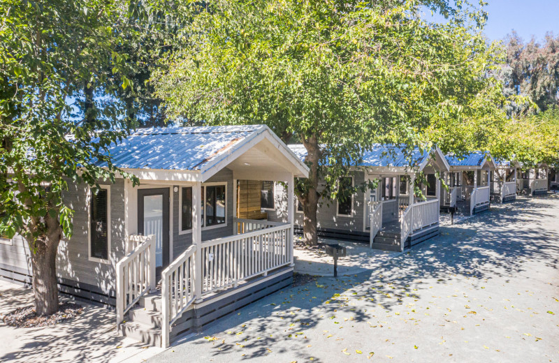 Cabins at Yogi Bear's Jellystone Park Tower Park.