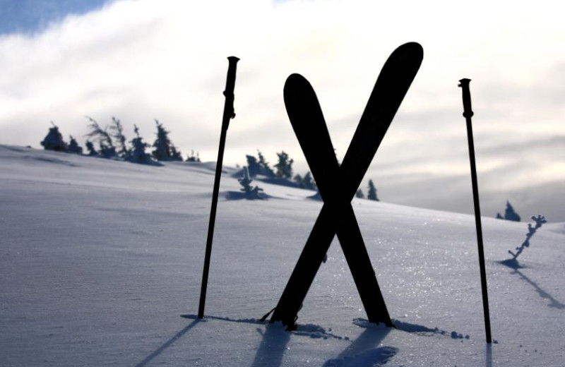 Skiing near The Sullivan.