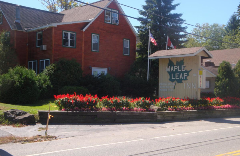 Exterior view of Maple Leaf Inn.