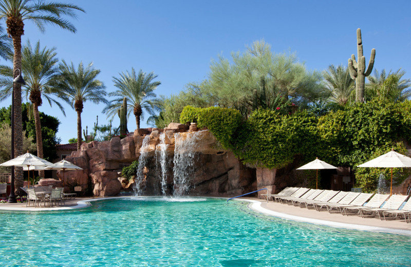 Outdoor pool at Sheraton's Desert Oasis.