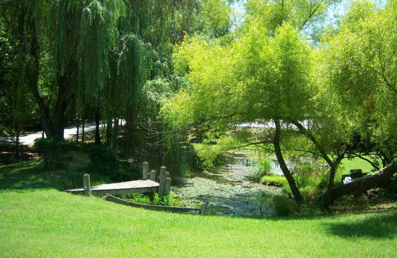 The grounds at Outback Roadhouse Inn.