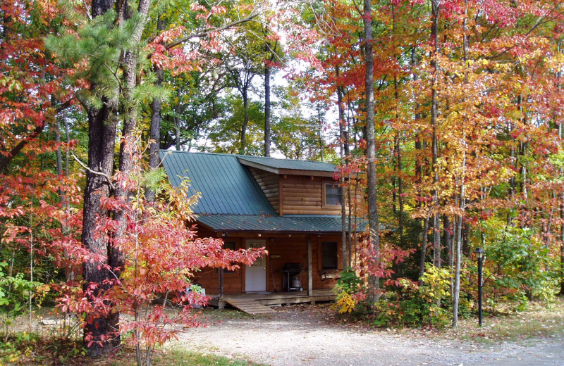 Cabin exterior at Country Road Cabins.