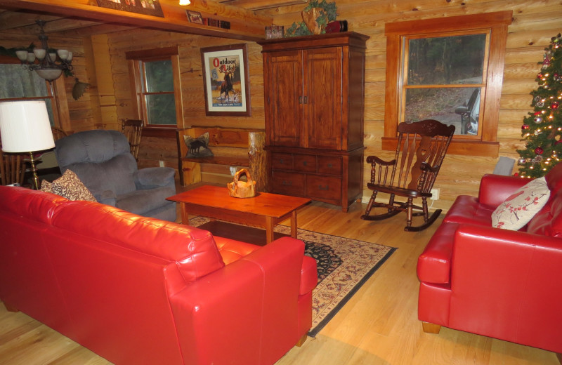 Cabin living room at Creeks Crossing Cabins.