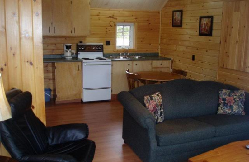 Cabin kitchen at Pleasant Cove Resort.