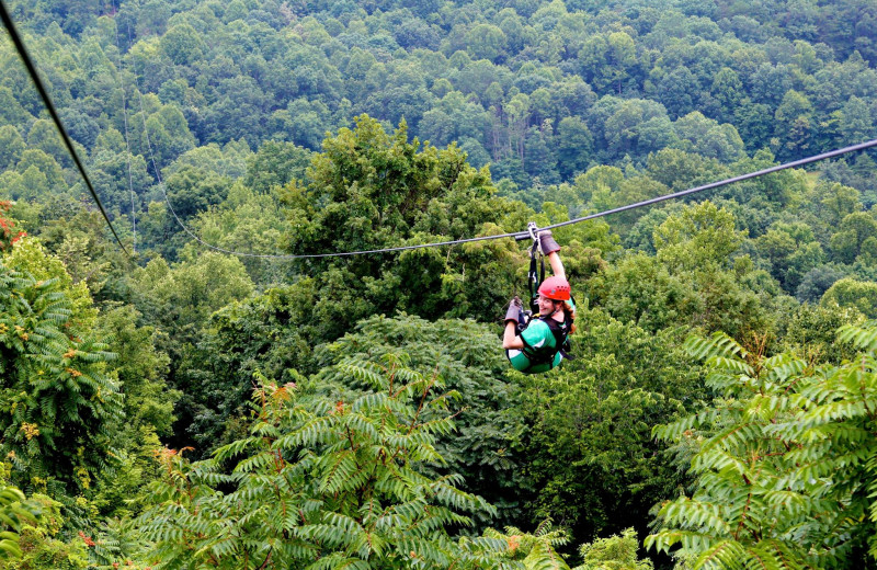 Zip line at Country Road Cabins.