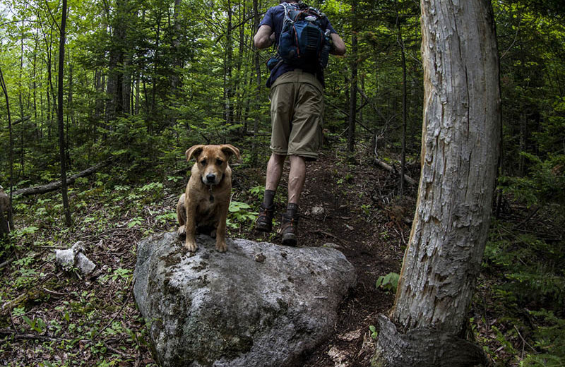 Hiking at Northwoods Inn.