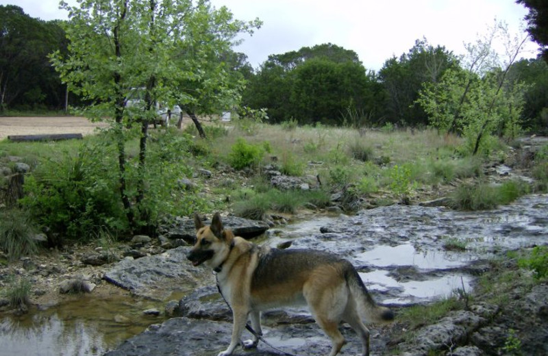 View from Cypress Creek Cottages.