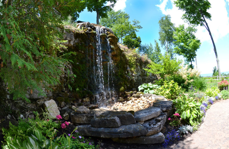 Waterfall - near the terrace and restaurant.