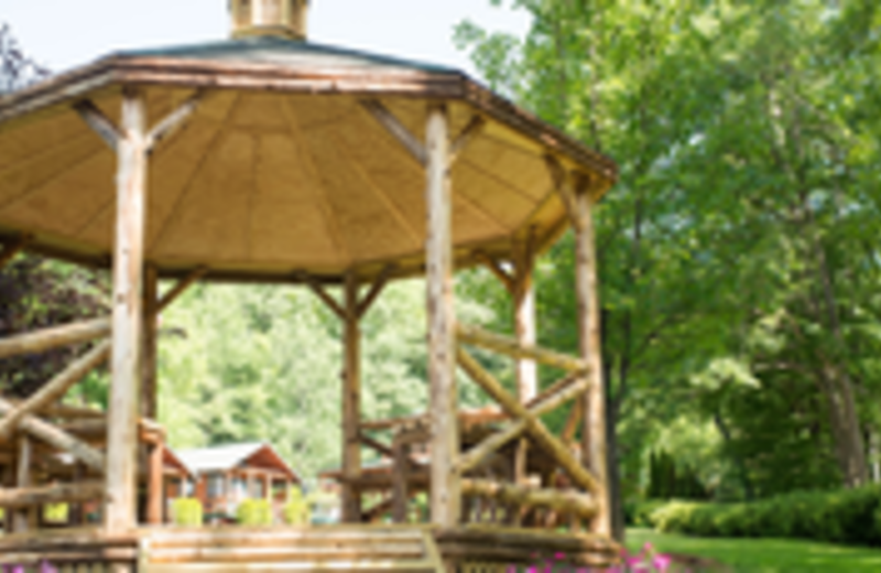 Timber Lake Camp (Shandaken, NY) Resort Reviews